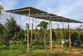 Nông dân vùng sâu tự lắp điện mặt trời công suất lớn