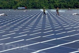 Chuyển 49ha đất lâm nghiệp để làm dự án điện mặt trời 1.200 tỉ đồng