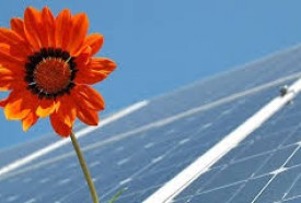 Dịch vụ O&M cho các nhà máy điện mặt trời 