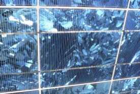 Tấm năng lượng mặt trời: Giải pháp hiệu quả chi phí cho năng lượng mặt trời