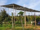 Nông dân vùng sâu tự lắp điện mặt trời công suất lớn