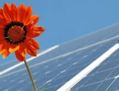 Dịch vụ O&M cho các nhà máy điện mặt trời 